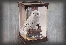 Magical Creatures Harry Potter Hedwig