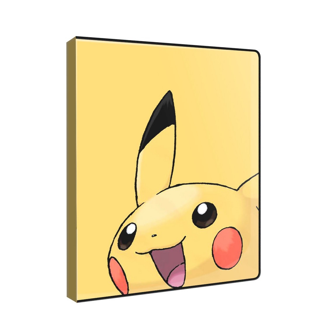 Portfolio 9 Pochettes Pikachu