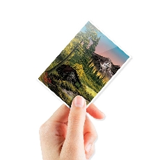 Apex Bob Ross Mountain Retreat Sleeve(105) Standard