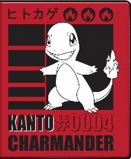 Portfolio 4PKT Charmander 2025