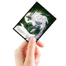 Protège-cartes Deck Protector 100 unités-Magic: The Gathering® x FINAL FANTASY