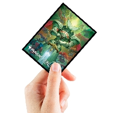 Protège-cartes Deck Protector 100 unités-Magic: The Gathering® x FINAL FANTASY