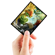 Protège-cartes Deck Protector 100 unités-Magic: The Gathering® x FINAL FANTASY